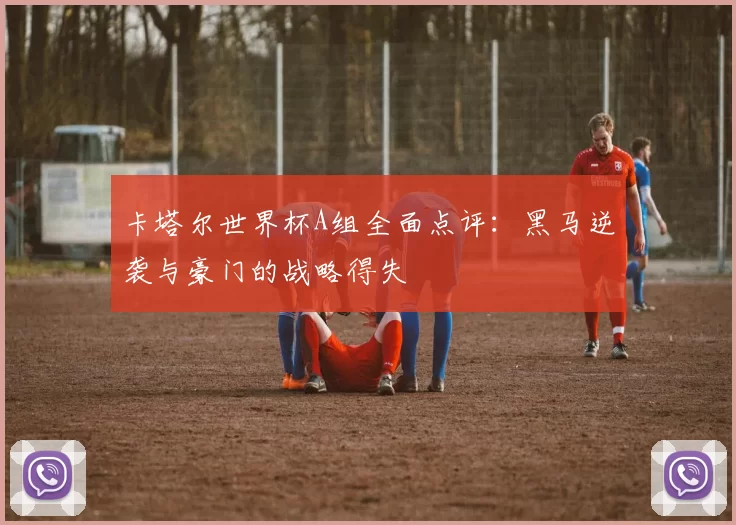 卡塔尔世界杯A组全面点评:黑马逆袭与豪门的战略得失