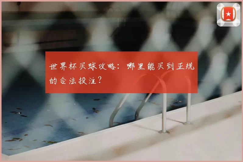 世界杯买球攻略：哪里能买到正规的合法投注？