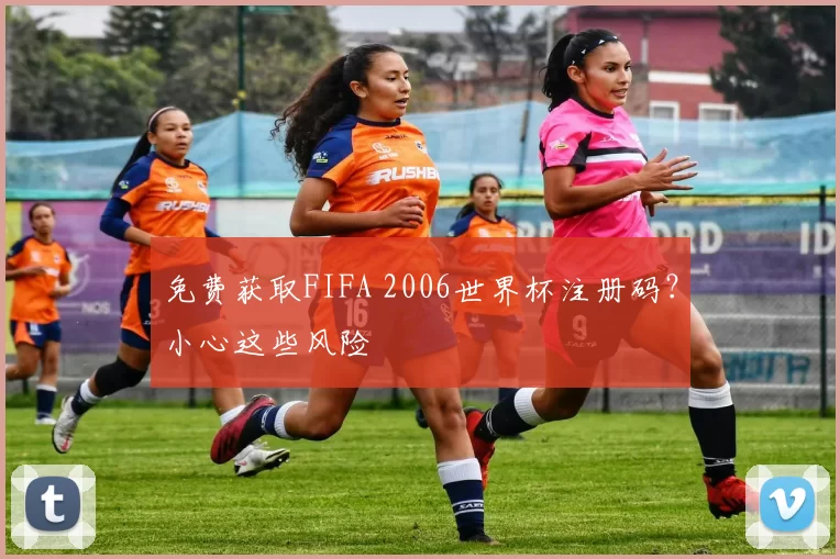 免费获取FIFA 2006世界杯注册码?小心这些风险