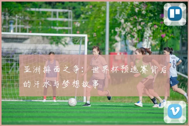 亚洲排面之争:世界杯预选赛背后的汗水与梦想故事