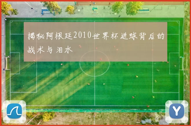 揭秘阿根廷2010世界杯进球背后的战术与泪水