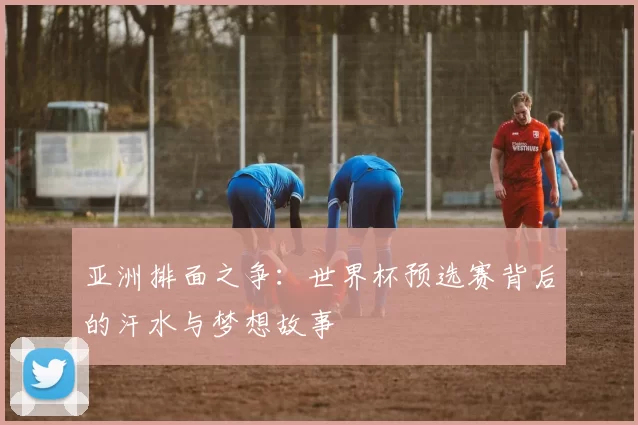 亚洲排面之争:世界杯预选赛背后的汗水与梦想故事