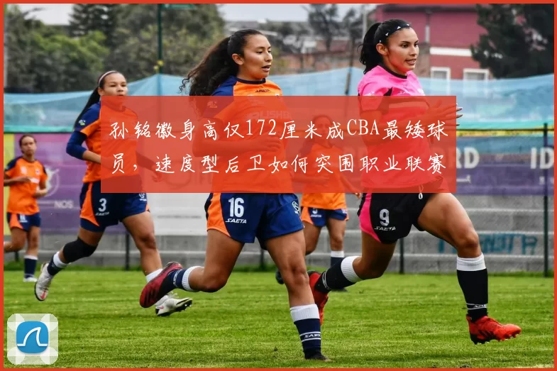 孙铭徽身高仅172厘米成CBA最矮球员,速度型后卫如何突围职业联赛