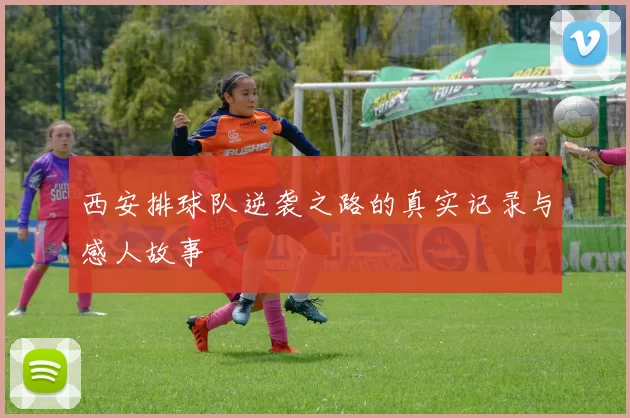 西安排球队逆袭之路的真实记录与感人故事