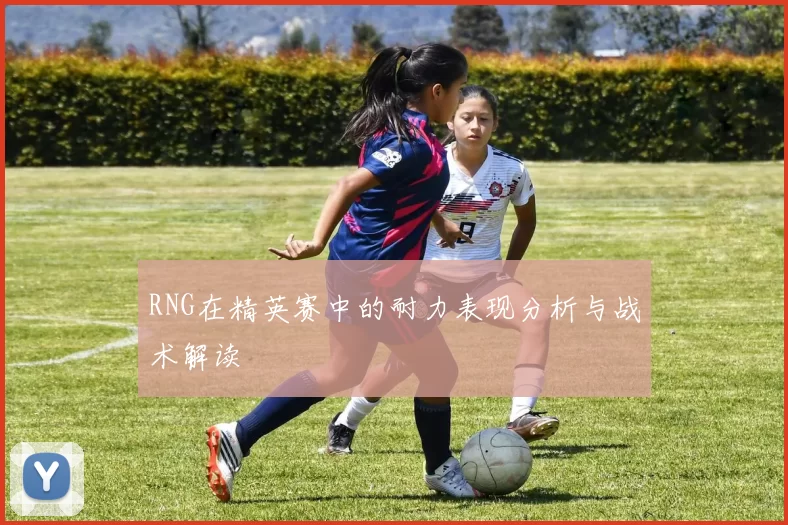 RNG在精英赛中的耐力表现分析与战术解读