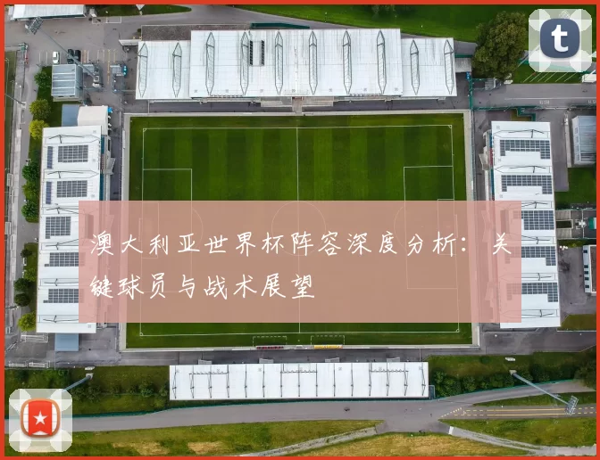 澳大利亚世界杯阵容深度分析:关键球员与战术展望