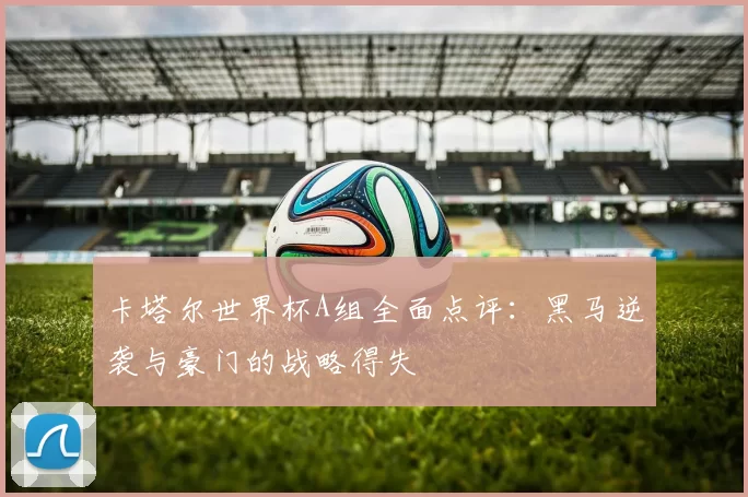 卡塔尔世界杯A组全面点评:黑马逆袭与豪门的战略得失